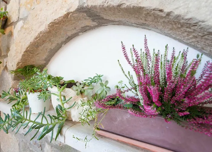 Lavanda Grubisic Nyaraló Tučepi
